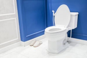 Sparkly clean toilet bowl